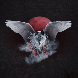 日逼高清视频看看
