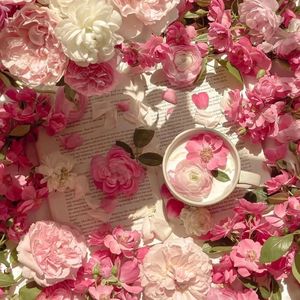 日逼高清视频看看
